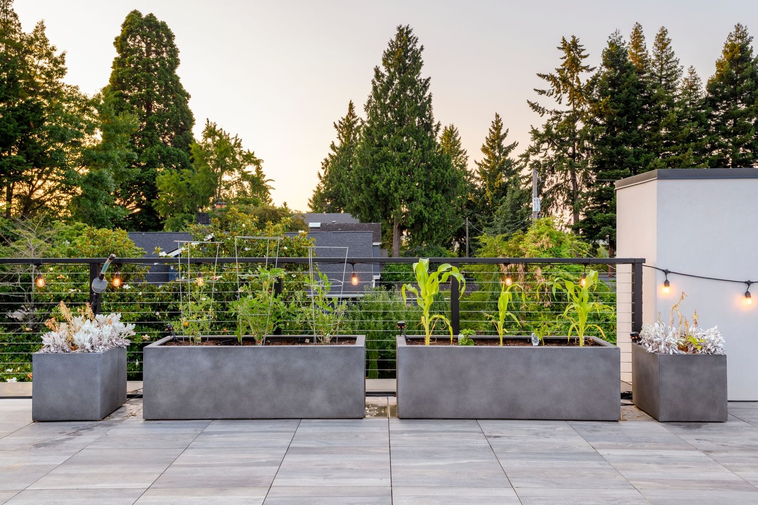 Madison Park Passive Rooftop Deck